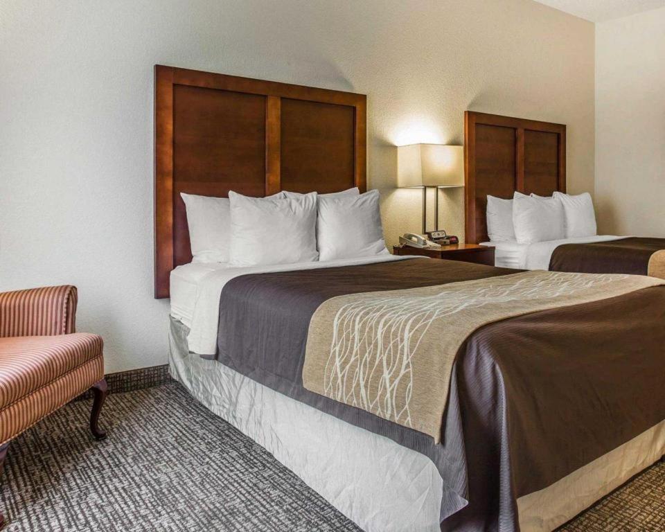 Comfort Inn & Suites Camden Buitenkant foto