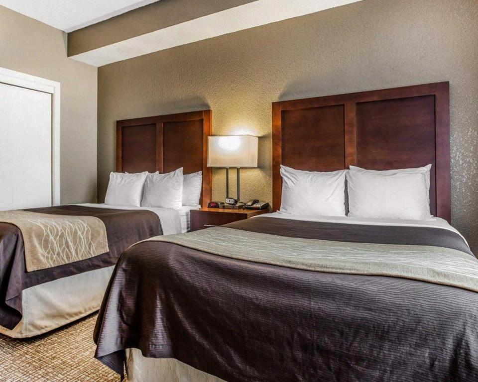 Comfort Inn & Suites Camden Buitenkant foto
